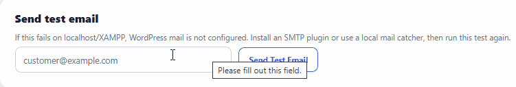 Sending a TrackForge test email from the settings screen.